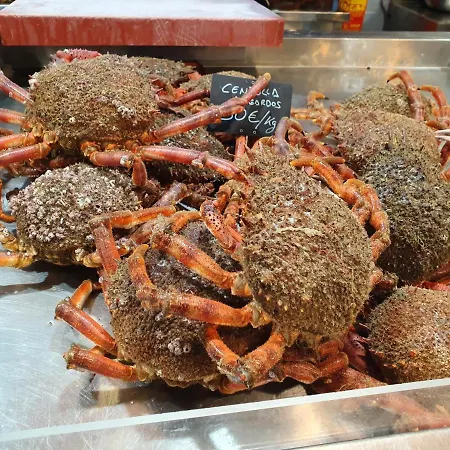 Casa Herbellas Dağ evi *