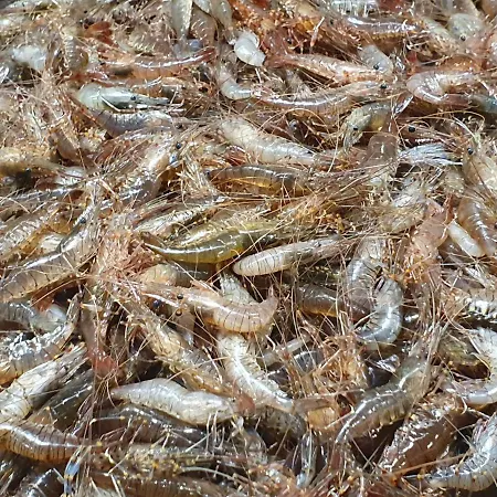 Casa Herbellas Dağ evi Cedeira