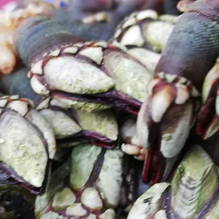 Casa Herbellas * Cedeira